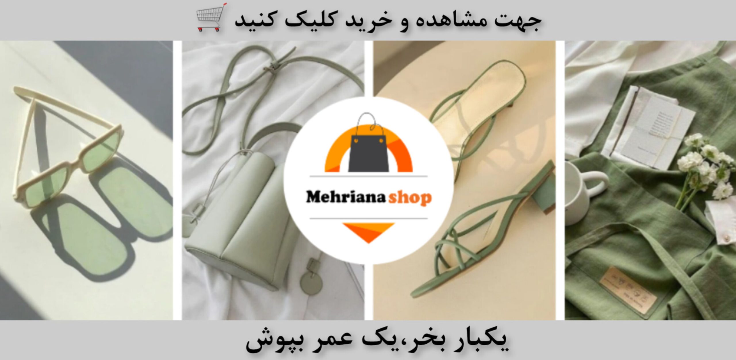 InShot 20240826 210017217 scaled