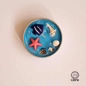 InShot 20250803 142331394